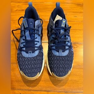 UA Project Rock 6 Training Shoe Blue